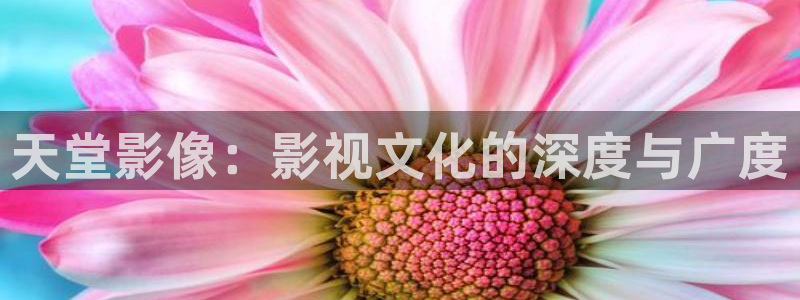 桃花影院在线播放免费：天堂影像：影视文化的深度与广度
