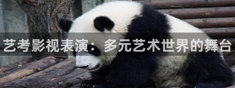 桃花影院一区二区